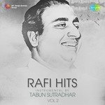 Rafi Hits Instrumental By Tabun Sutradhar Vol. 2 - Meena Kumari Song Download
